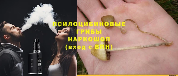 мяу мяу мука Майский