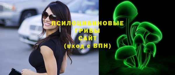 прущий лед Магас