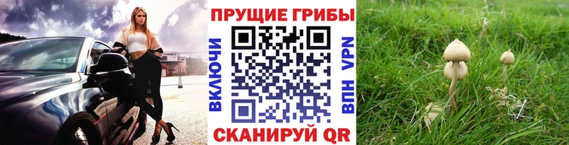 цена наркотик  Ладушкин  Галлюциногенные грибы ЛСД 